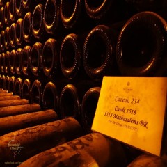 Imagen de Galería Nomadic